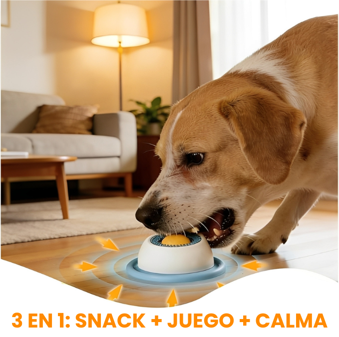 Comedero para Mascotas